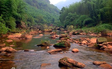 四川畫稿溪國家級自然保護區
