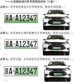 政策解讀 公安部啟用新能源汽車專用號牌，推動綠色出行
